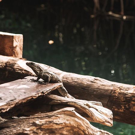 Uman Glamping & Cenote Tulum Hotel Ngoại thất bức ảnh