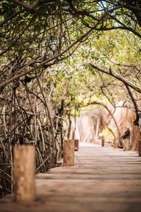 Uman Glamping & Cenote Tulum Hotel Ngoại thất bức ảnh