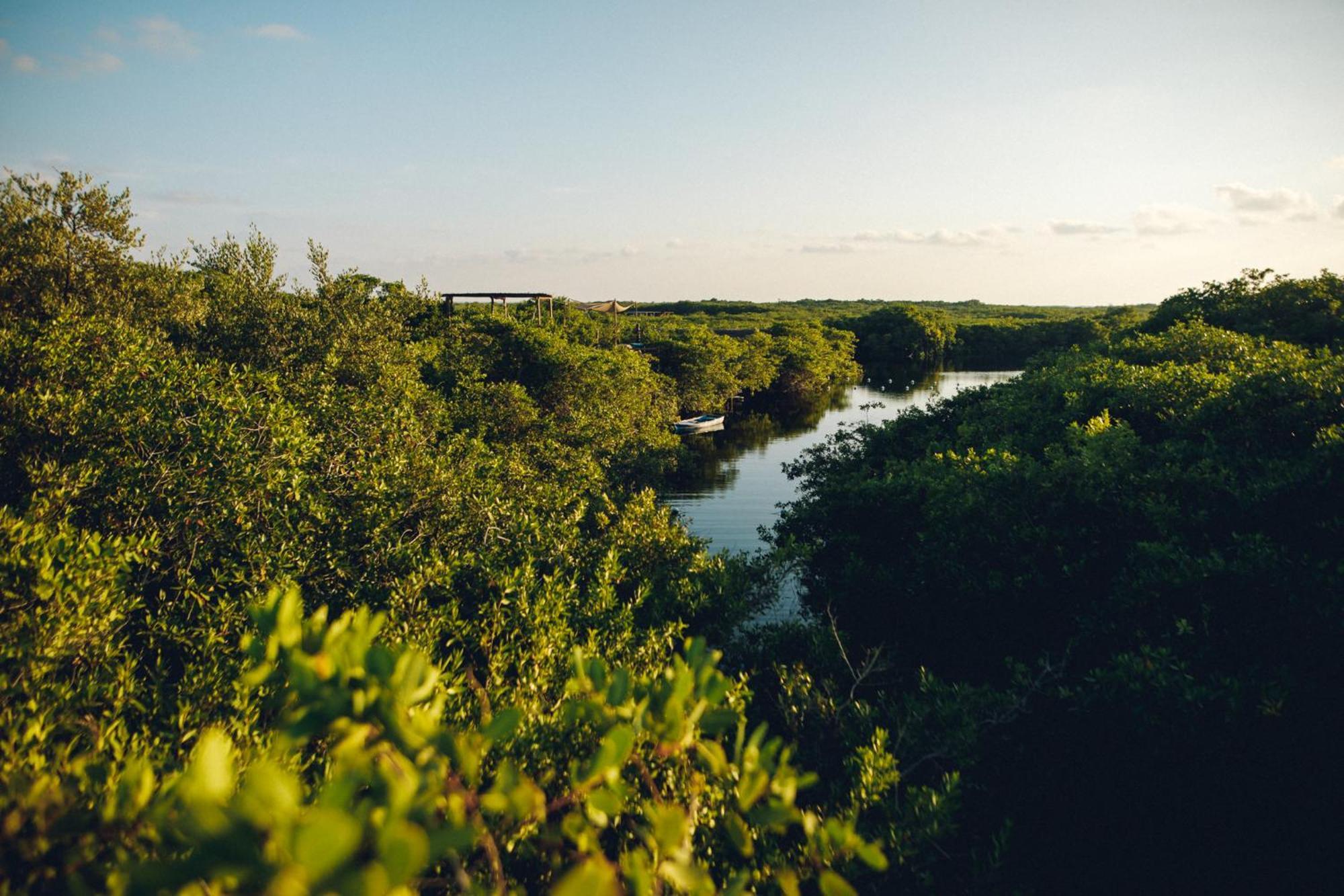 Uman Glamping & Cenote Tulum Hotel Ngoại thất bức ảnh